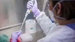 Vaccine inequality may have an economic impact, says report
