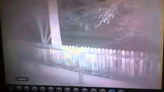 camera 1 fenomen pe cer 2015 7 ianuarie ora 03:05 minute