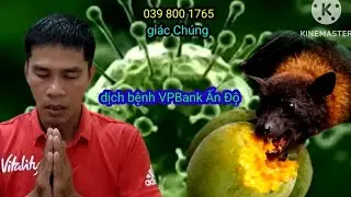 Tin chấn động dịch bệnh Ấn Độ virus VI Ban t&acirc;m linh