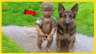🐾👶 When Baby and Your Dog Grow Up Together | Funny Dog and Human Videos