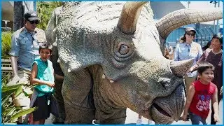 [4K] Jurassic World the Ride! NEW TRICERATOPS DINOSAUR - Universal Studios Hollywood 2019