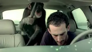 Trunk Monkey - 