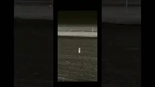 Thermal predator hunting