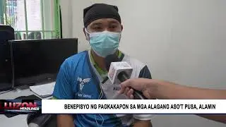 Benepisyo ng pagkakapon sa mga alagang aso't pusa, alamin