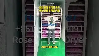 rose flower dryer heat pump saffron dryer flower tea dehydrator hemp leaf drying machine