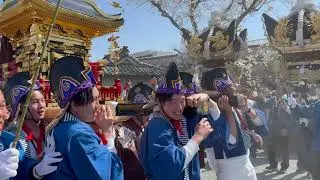 【北条節句祭り 東高室】2025年(令和7年）2日目　東郷神輿編【4K】