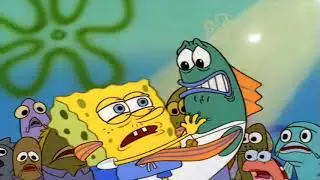 I need A MCPICK 2