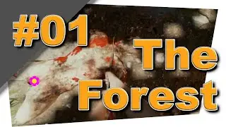 The Forest Multiplayer #01 || Wilde Kerle treffen auf Wilde Frauen