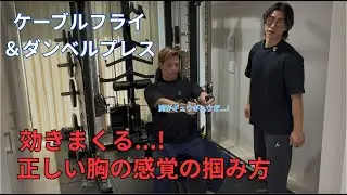 【胸トレ！】絶対に感覚を掴める！ダンベルプレスとケーブルフライ徹底解説！