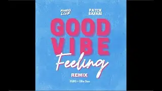 PINEO & LOEB - Good Vibe Feeling Ft. FUEG & Ellie Sax (Patch Safari Remix)