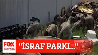 ''İsraf parkı...'' 5 Şubat 2022 Gülbin Tosun ile FOX Ana Haber Hafta Sonu