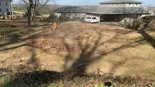 SCAG Hurricane mulch kit taking care of THICK leaves!!