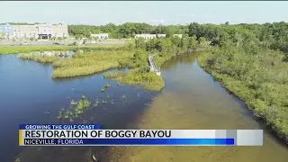 Growing The Gulf Coast - Boggy Bayou Headwater Restoration
