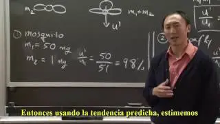 How Mosquitoes Fly in the Rain - English Spanish Subtitles