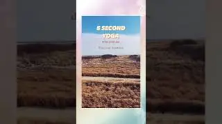 FIVE SECOND YOGA! Relax Your Mind- Breathe Release Tension- Mindfulness Shorts- Raise Your Vibration