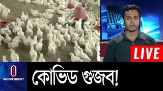 দিনে ১০০ কোটি টাকা লোকসানের পথে পোল্ট্রি শিল্প || Poultry Farm Bangladesh