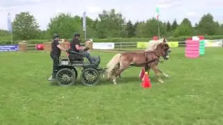 Fahrturnier Eicherscheid 2017, Kai und sein Haflingergespann im kombinierten Hindernis