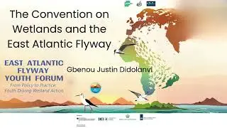 Convention on Wetlands and the East Atlantic Flyway