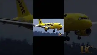 Spirit Airlines отправит в неоплачиваемый отпуск 1800 бортпроводников, чтобы сократить расходы в ...