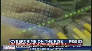 Pandemic cybercrime warning
