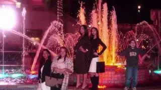 gypsy miami blossem