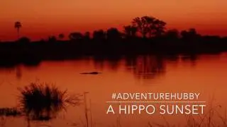 African Sunset Sounds