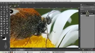 GIMP 2.9.5 AppImage + PhotoFlow plug-in tutorial v.2