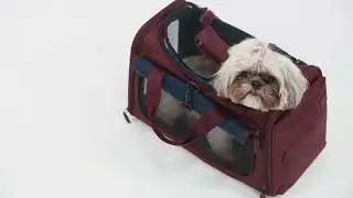 Lipault Pet Carrier