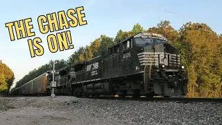 Shiny ACe Leads NS 21D & Chasing 19D on the SC-Line