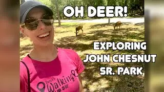 Exploring John Chesnut Sr. Park in Palm Harbor