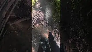 Leaperkim Patton S Full ride trail no cuts (Trippy)