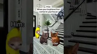 CAT MEMES 🐱When your boyfriend first comes to your house #catmemes #relatable #relationship
