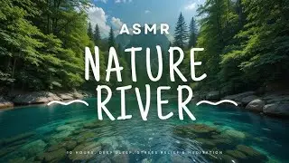 🔴 LIVE River Sounds for Sleep 🌊 Night Nature ASMR, Calm Water Ambience
