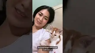 Prisia nasution love cat baby 2