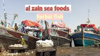 Pakistan karachi fishri fresh frozen seafood fish dealer and supplier all kind seafood