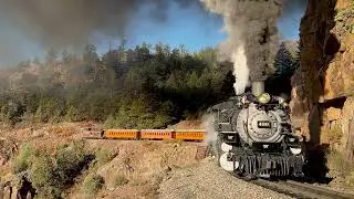 Durango and Silverton Narrow Gauge Railroad 480 leads the Fall Photo Charter.