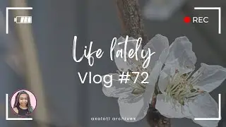 Big Life Adjustments | Life Lately VLOG # 72