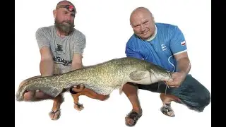 Wielka podróż.Łowimy nad rzeką Ebro w Hiszpanii. Pierwszy odcinek drugiego sezonu.