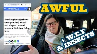 ARLA farm SCANDAL