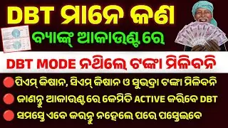 what do you mean by DBT ? dbt link account check | dbt govt payment kya hai