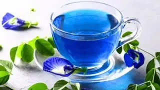 Blue Tea | Controls Sugar | Butterfly Pea Flower Tea | Aparajita Flower Tea |Most Healthy Tea Recipe