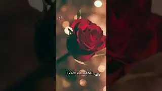 Rose day  special || love shayari ||Valentine's week||  by The AdR