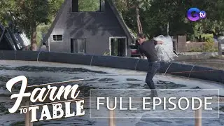 Turning fresh shrimp into Mexican dishes! (Full episode) | Farm To Table (Stream Together)