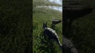 Carno silent buff? Can charge 1900kg | The Isle Evrima #isle #theisle