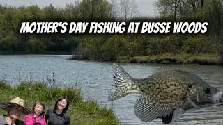 Busse Woods Main Pool Fishing