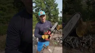 ‼️Незаменима на кемпинге #shorts