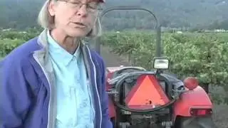 Corison Winery  Kronos Vineyard Harvest 2009