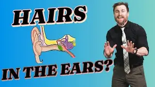 Watch Dr  Barrett Reveal How Moving Ear Hairs Can Unlock the Secrets of Your Hearing!