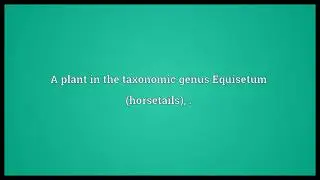 Common horsetail Meaning