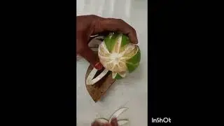 Art#fruit art#food#how to make mosambi peel flower cutting skills#mosambi flower carving#mosambi art